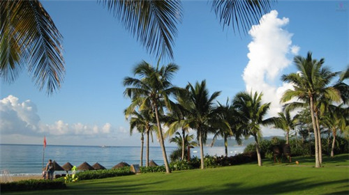 楠楠章鱼小丸子