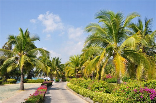 宇飞恒达起重机械