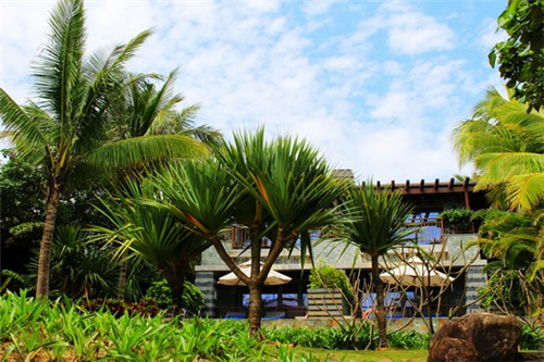 仙芋世家芋圆甜品