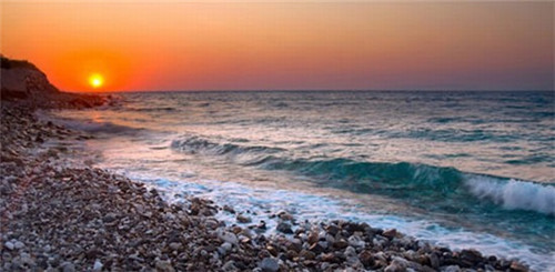 高新区哪家茶室好，高新附近奶茶店哪家好