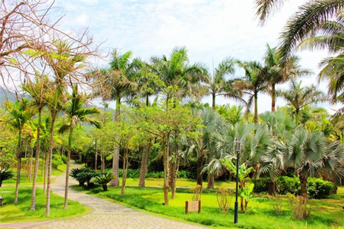 合肥哪家餐饮设计好做些，合肥餐饮排名前十