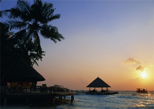 脏脏茶加盟店热线是多少，多少钱可以加盟脏脏茶