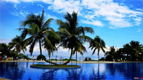 外卖店创业简历模板怎么写