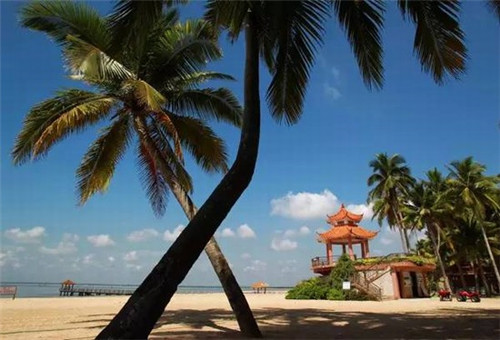 苍南168海岸线自驾游攻略（168苍南海岸线怎么走）